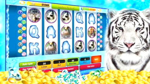 $595 ingyenes chip az Omni Slots Kaszinóban
